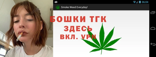 дживик Заводоуковск