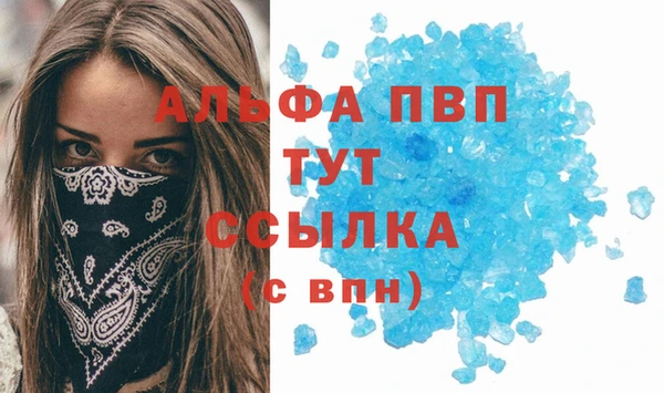 стафф Заволжье