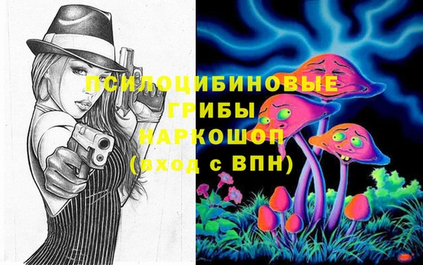 дживик Заводоуковск