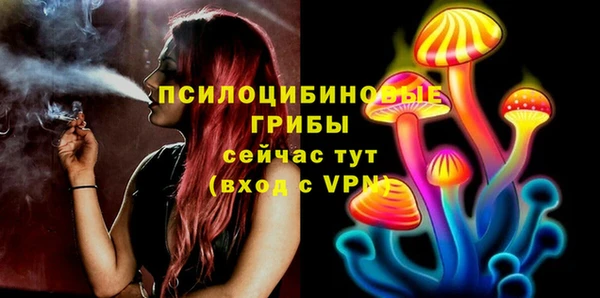 стафф Заволжье