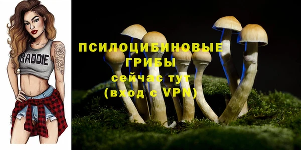 дживик Заводоуковск
